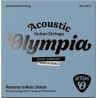 Olympia Artisan Acoustic Guitar Coated Strings, Phosphor Brz, 010-047