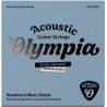 Olympia Artisan Acoustic Guitar Coated Strings, Phosphor Brz, 012-053