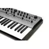 Modal CARBON8 (37 Keys)