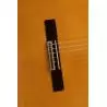 Alhambra 3F CT E1 Estrecha Electrificada Fishman
