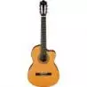 Compra ibanez ga6ce-am guitarra electroacustica al mejor precio