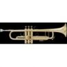 Compra Trompeta BACH Stradivarius LR-180/37 Goldmessing al mejor precio