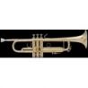 Compra Trompeta BACH Stradivarius LR-180/72 Lacada al mejor precio