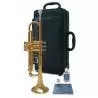 Compra yamaha ytr-3335 trompeta sib al mejor precio