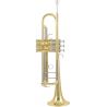 Compra YAMAHA YTR-8335 trompeta personalizada con estuche al mejor precio