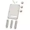 Compra Fender Accessory Kit Stratocaster Parchment al mejor precio