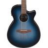 Ibanez AEG50 Indigo Blue Burst High Gloss