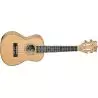 Compra TANGLEWOOD TWT11 Ukelele Concierto al mejor precio
