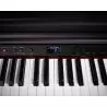 Oferta Artesia DP10-E Negro al mejor precio