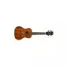 Comprar Luna Uke Vintage Mahogany Concert Pack al mejor precio