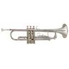 Comprar trompeta Amadeus TP-807n Niquelada al mejor precio