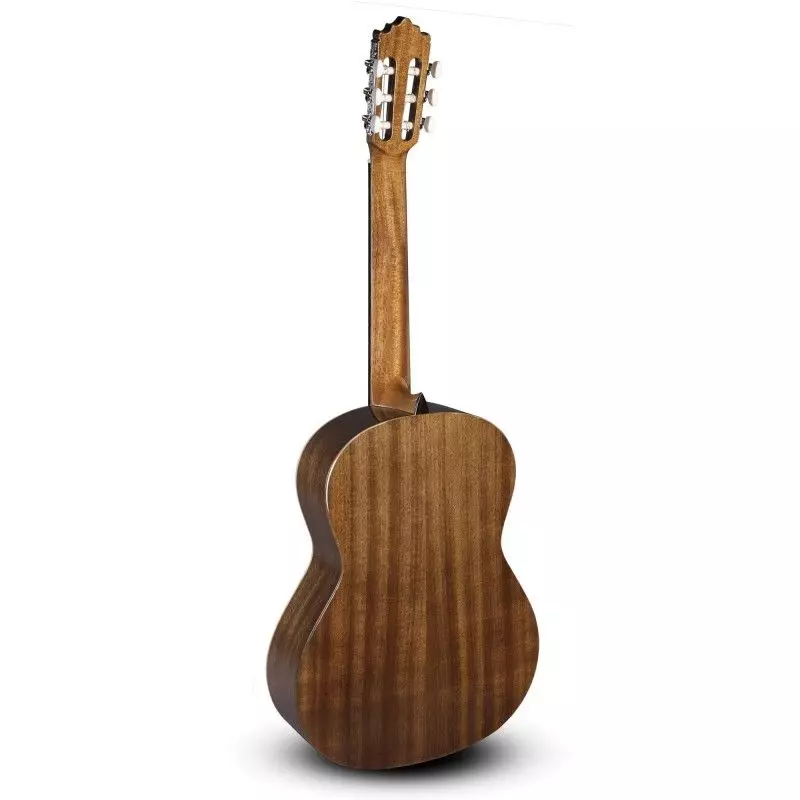 Comprar Paco Castillo 201 Brillo al mejor precio