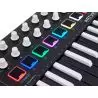 Arturia MINILAB MKII Inverted