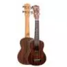 Comprar Daytona UKebc Exotic Ebano al mejor precio