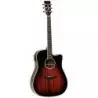 Comprar Tanglewood TW5avb Dreadnought al mejor precio