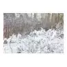 Comprar Beamz Snow5000 Maquina De Nieve De Alto Volumen al