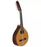 Instrumentos de cuerda tradicionales